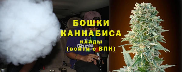spice Арсеньев